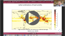 UTES: Extreme Climate Risks and Financial Tipping Points